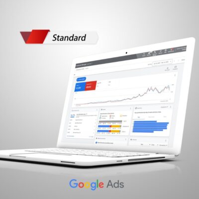 Standard Google Ads Management Service