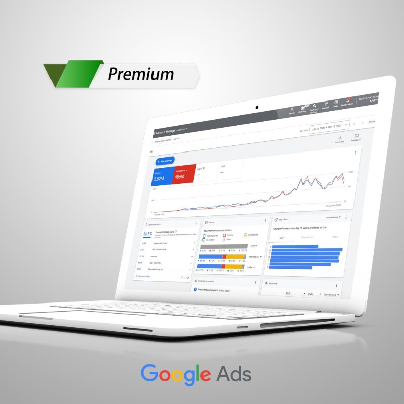 Premium Google Ads Management Service